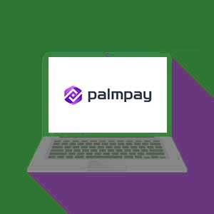 Palmpay Limited Practice Past Questions